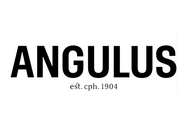 Logo Angulus