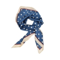 Broons Foulard