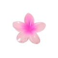 Haarklammer Lotusblüte Pink