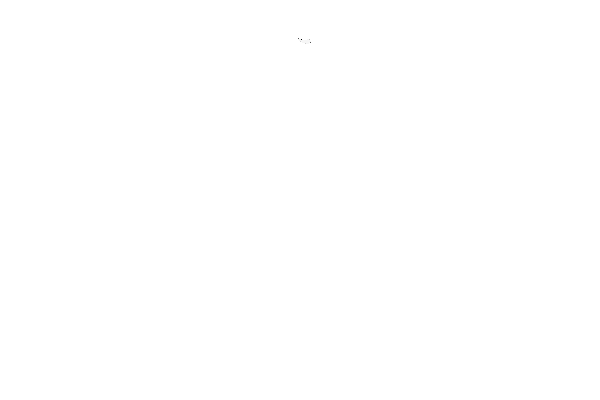 Logo Sneaky Fox
