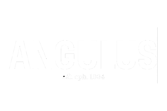 Logo Angulus