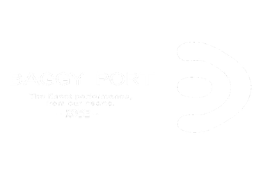 Logo Baggy Port