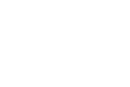 Logo Voila