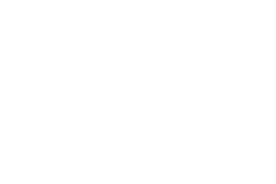 Logo Shalimar